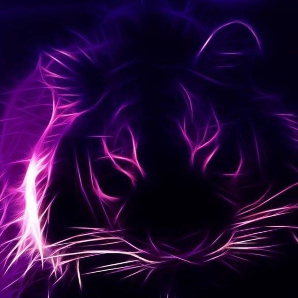 Meet your Posher, Natalee Tebbitt